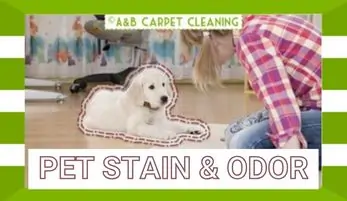 Pet Stain & Odor Removal
